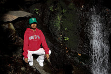 Load image into Gallery viewer, &quot; DUBBS Edition &quot; Wulfpac Regime x Ebbets Field Ballcap
